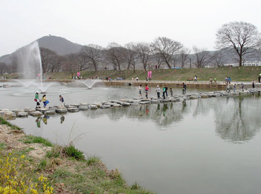 담양천을 가로지르는 징검다리. 관방제림과 죽녹원 사이에서 또 하나의 보고 즐길거리가 되고 있다. 